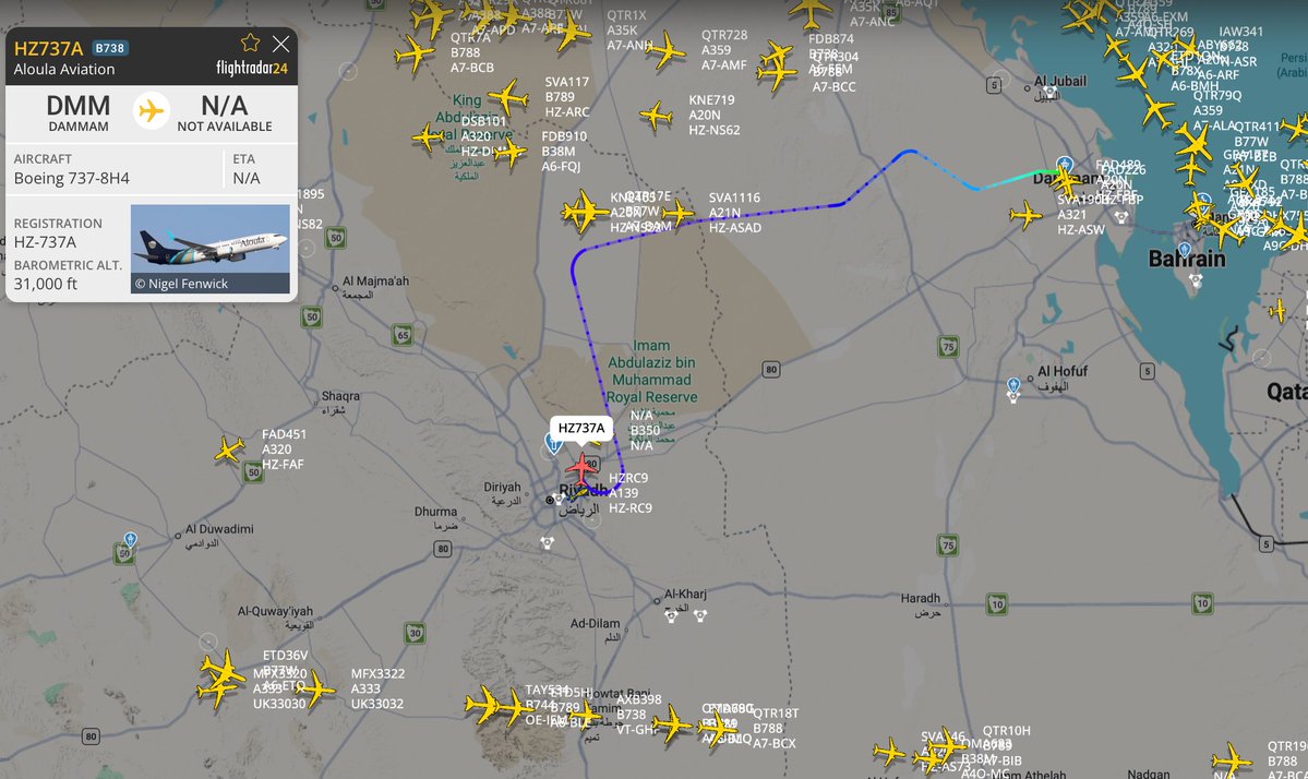 Riyadh Air Traffic Appears to Halt Again