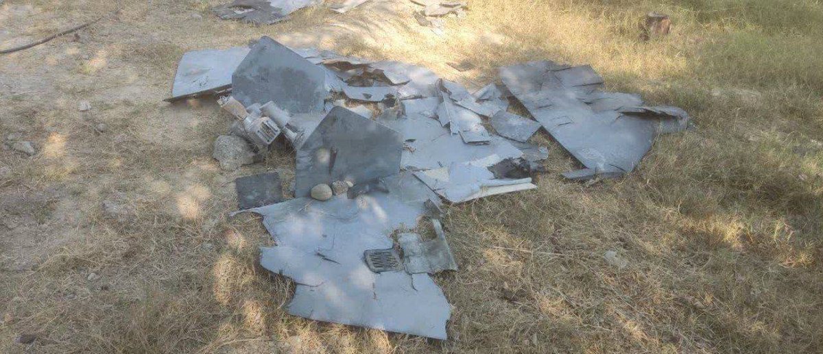Iranian Army Announces Downing of 'Lucas' Over Bandar Abbas